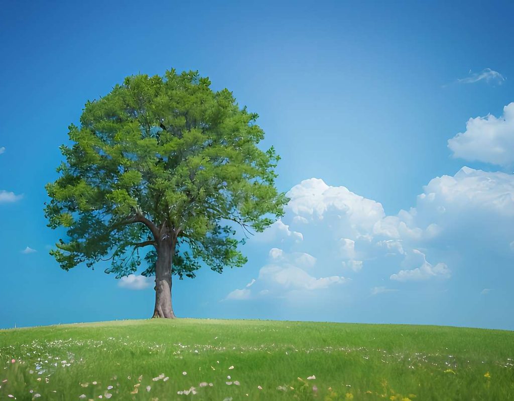 ai generated, lonely tree, meadow-8401727.jpg